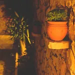 Althea Lefkada Apartment Agios Nikitas