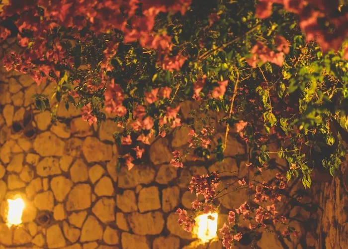 Althea Lefkada Appartement